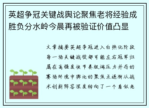 英超争冠关键战舆论聚焦老将经验成胜负分水岭今晨再被验证价值凸显