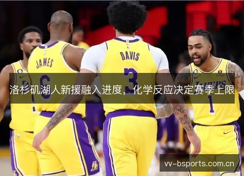 洛杉矶湖人新援融入进度,化学反应决定赛季上限 洛杉矶湖人新援融入进度,化学反应决定赛季上限